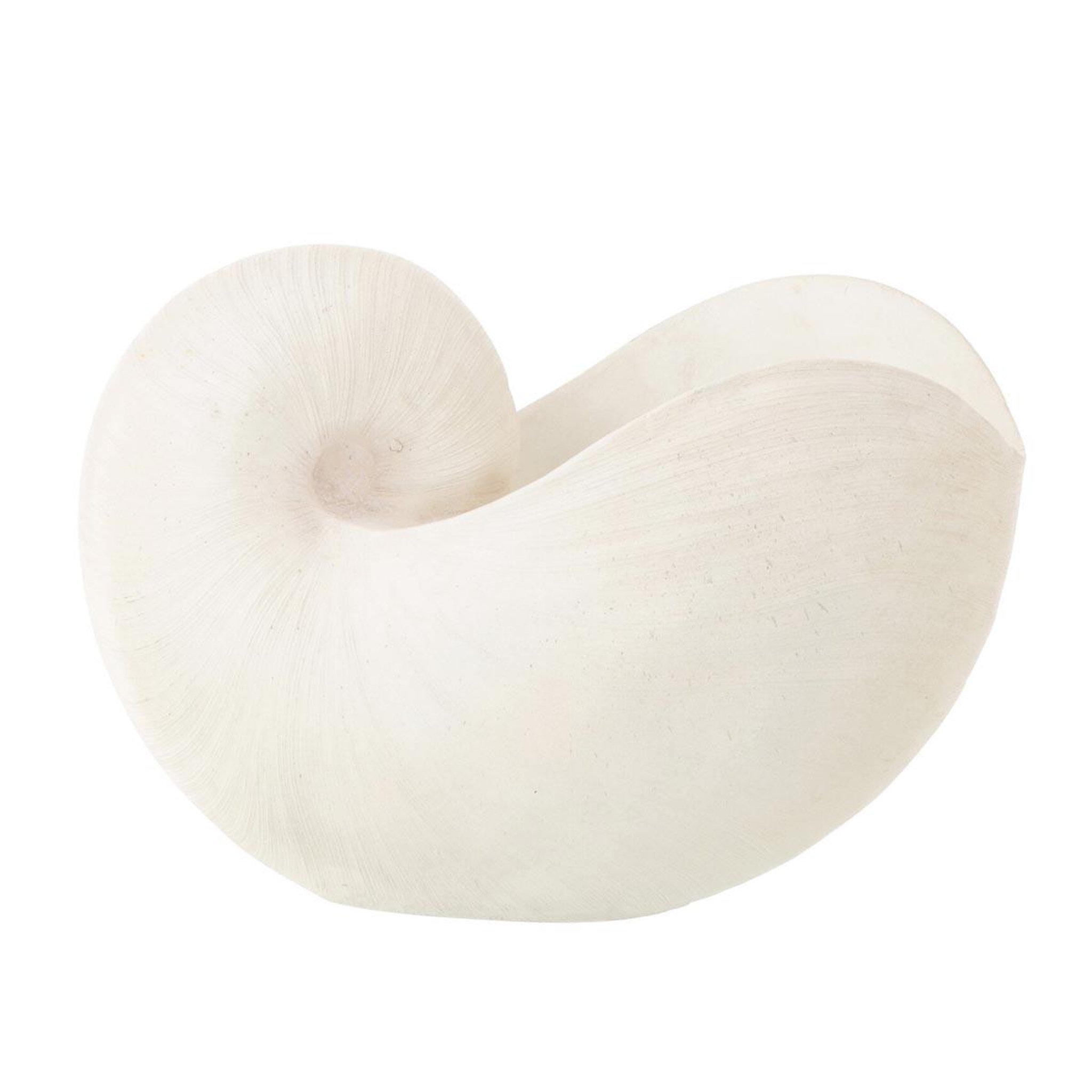 Voir la diapositive 2 : J-LINE Coquillage déco en résine  marina  31cm blanc