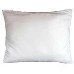 Douceur d'Intérieur Oreiller premium - Polyester anti acarien. Coloris disponibles : Blanc