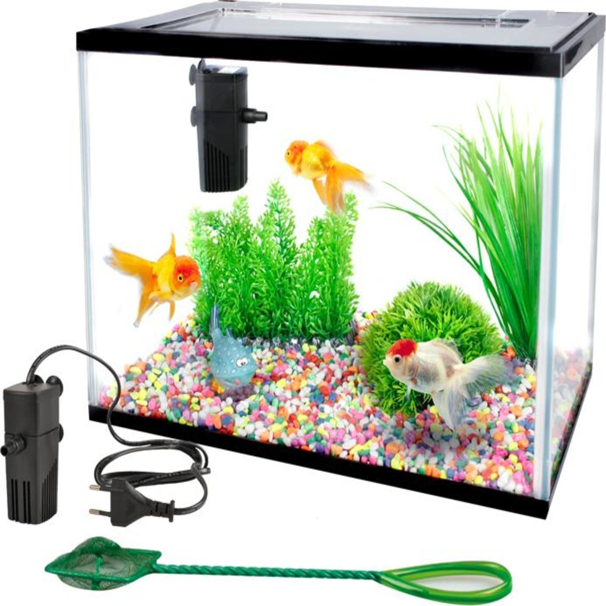 Voir la diapositive 2 : Eden Kit aquarium rectangulaire 16l avec filtre, gravier et épuisette