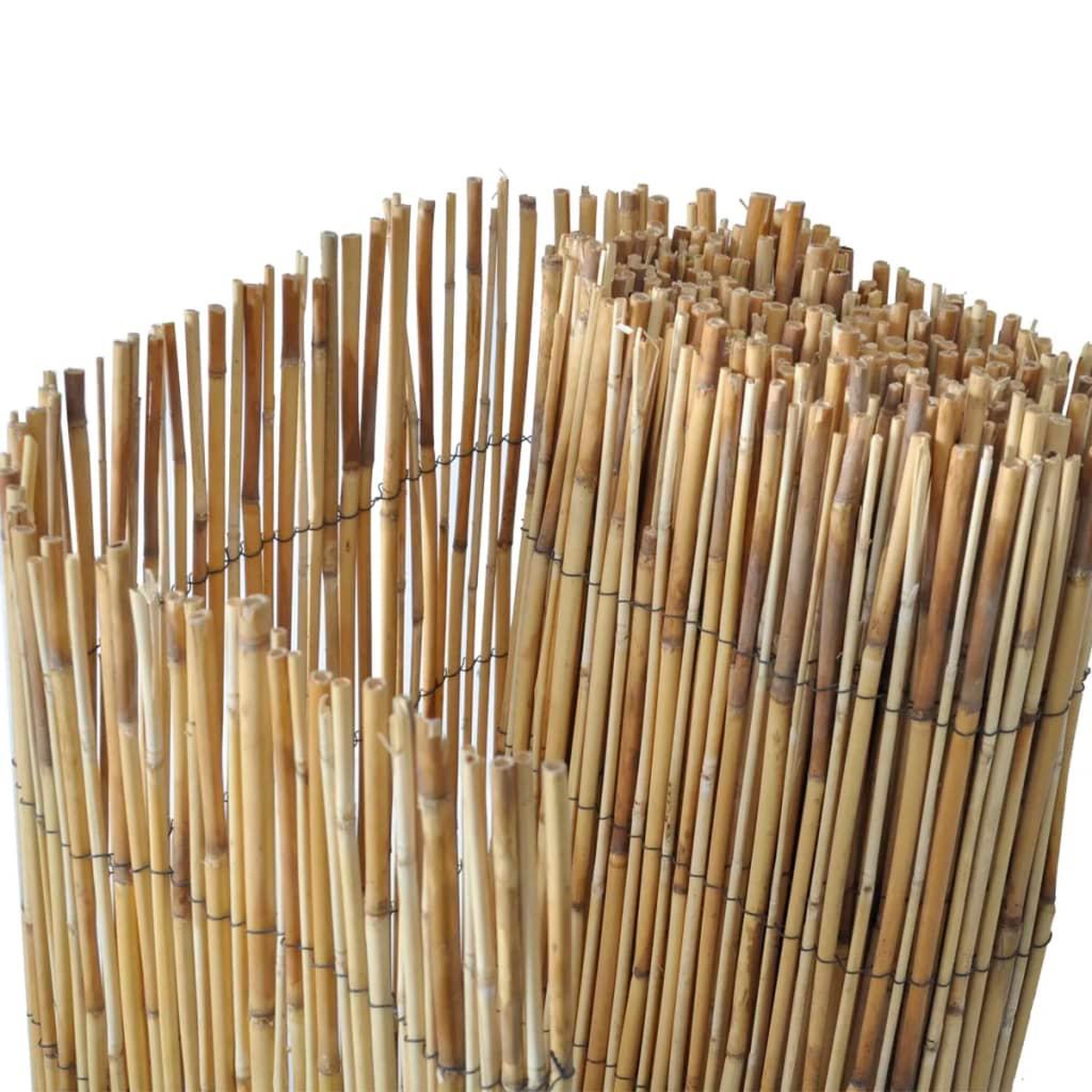 Voir la diapositive 4 : VIDAXL Cloture de jardin en roseau 500x100 cm