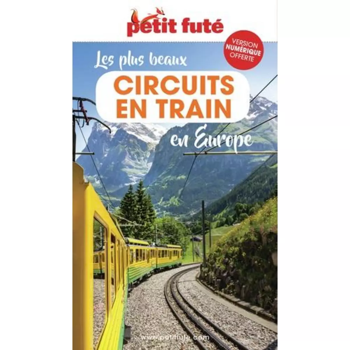  PETIT FUTE LES PLUS BEAUX CIRCUITS EN TRAIN EN EUROPE. EDITION 2023, Petit Futé