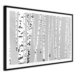 Paris Prix Affiche Murale Encadrée  Birch Wood. Coloris disponibles : Noir, Jaune