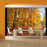 Paris Prix Papier Peint  Beech Forest. Coloris disponibles : Multicolore