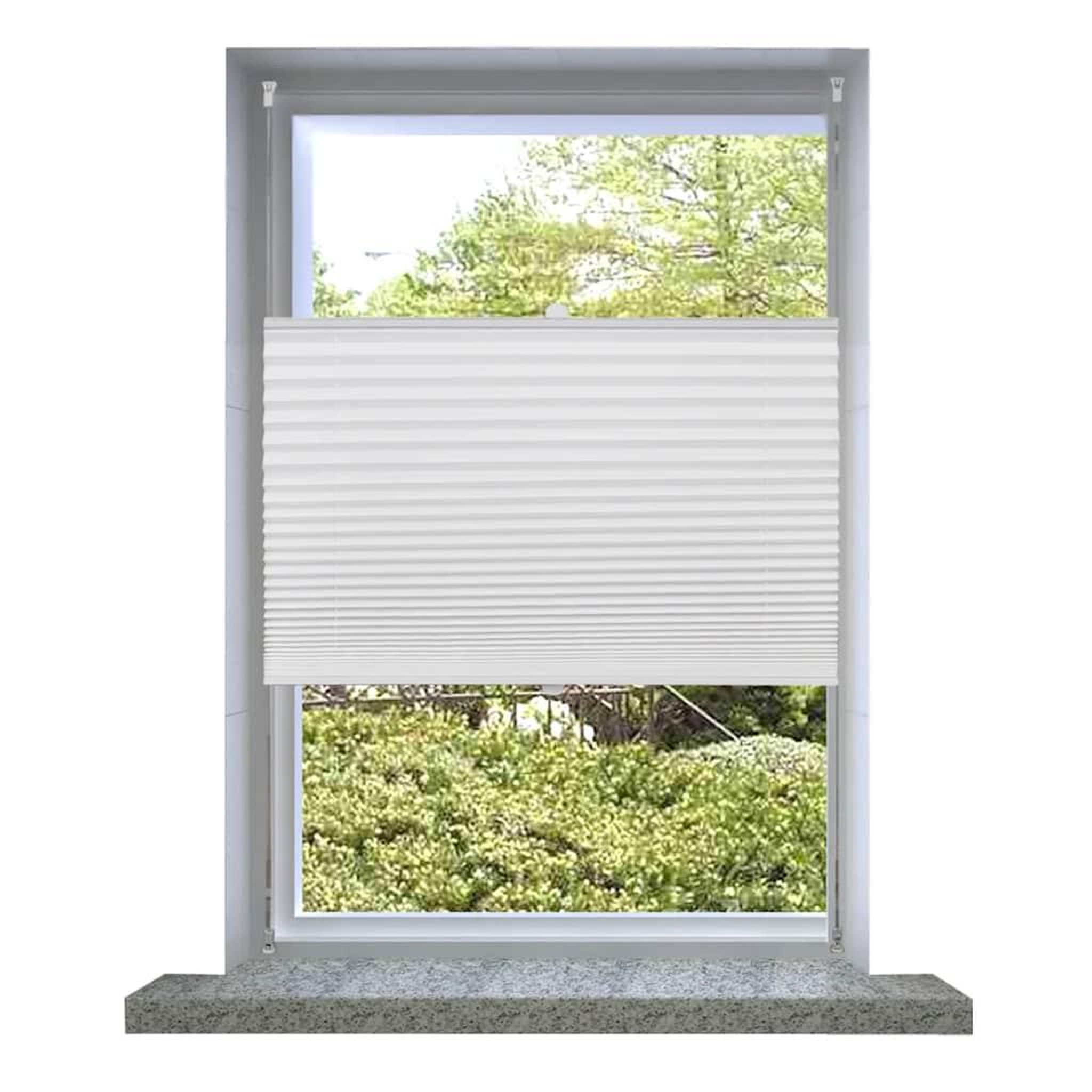 VIDAXL Store plisse 60x100 cm Blanc