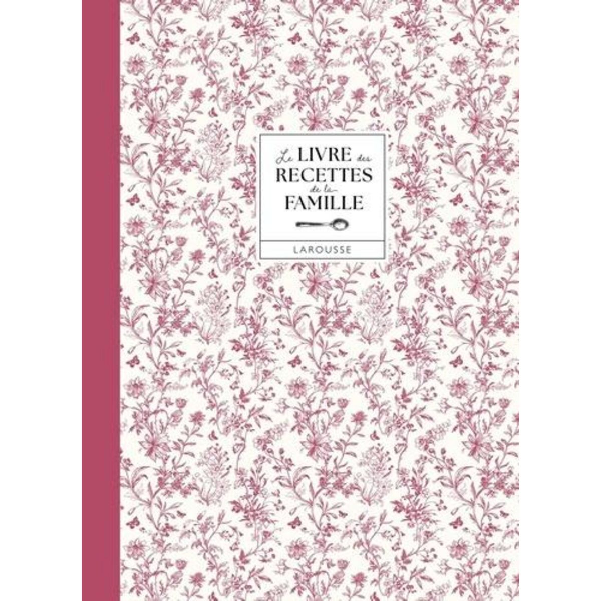 LE LIVRE DES RECETTES DE LA FAMILLE, Jeuge-Maynart Isabelle