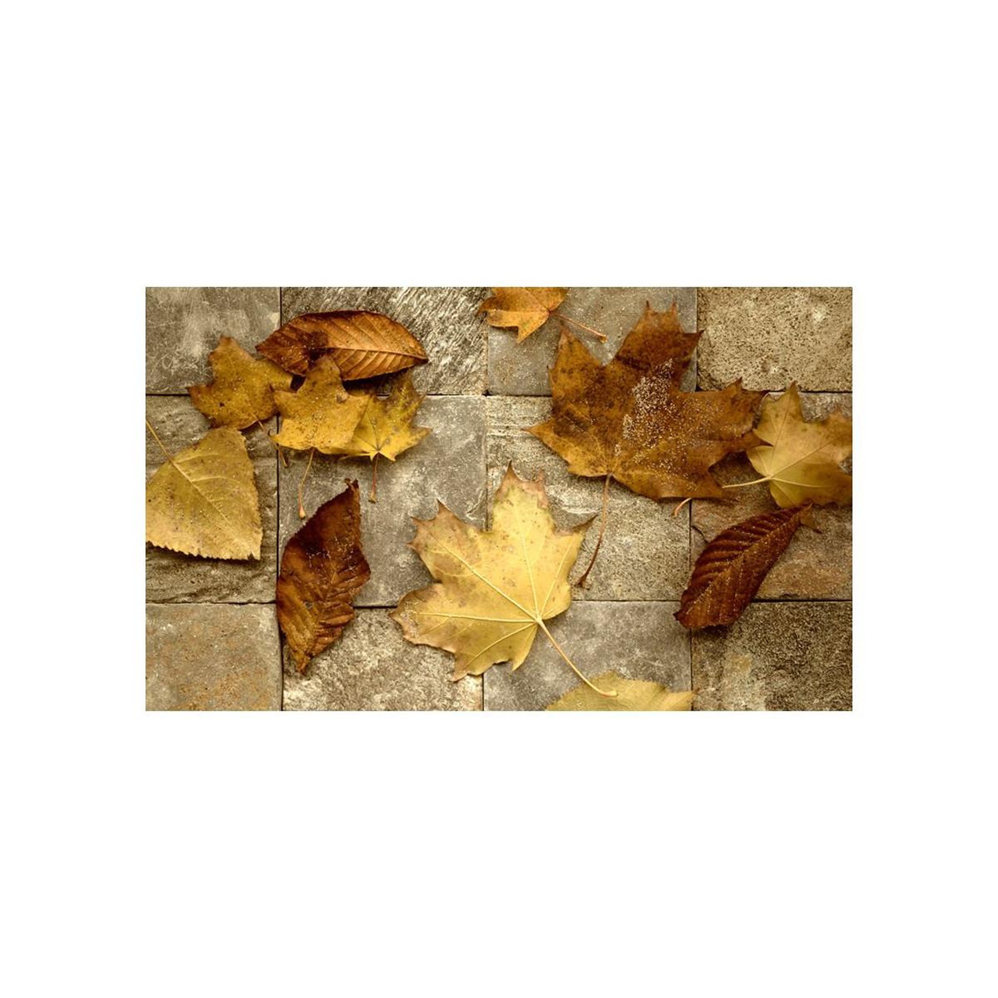 Voir la diapositive 2 : Paris Prix Papier peint  signes avant coureurs de l'automne ii  270x450cm