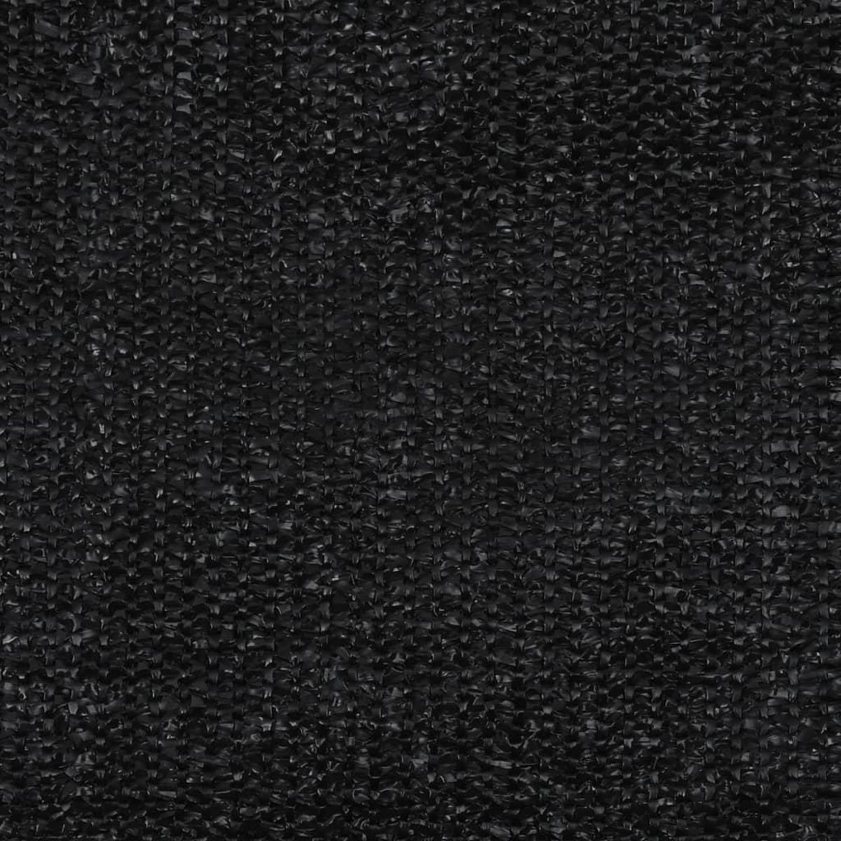 VIDAXL Tapis de tente 250x500 cm Noir