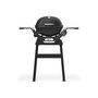 Voir la diapositive 3 : Weber Barbecue à gaz Q 2200N noir avec pied - Weber