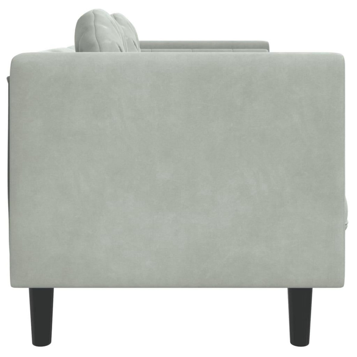 VIDAXL Canape avec coussins 2 places gris clair velours