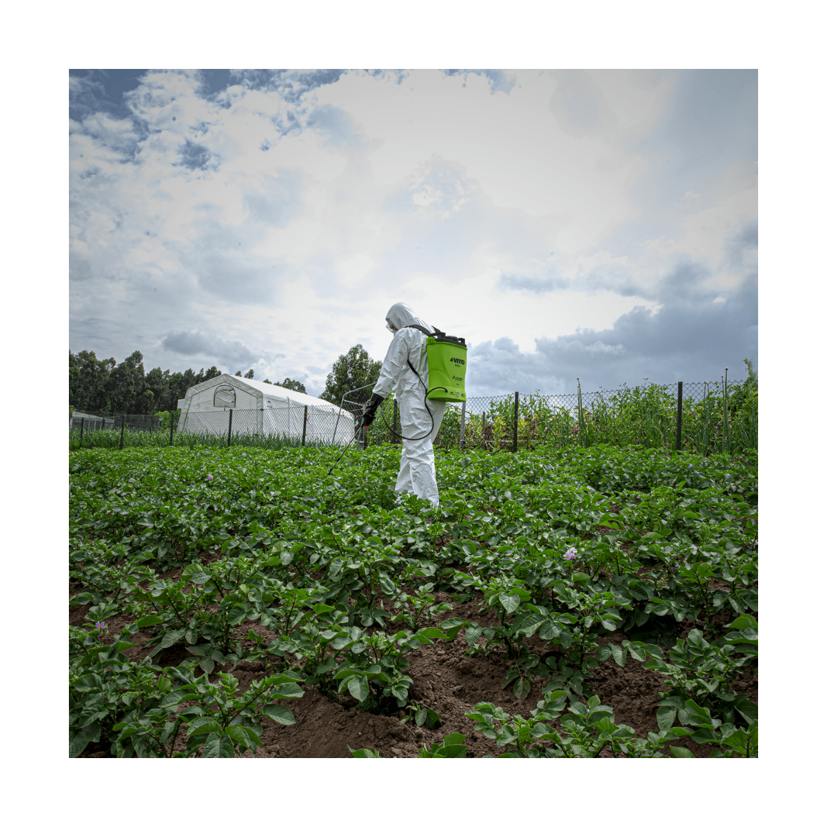 VITO Pulvérisateur de Jardin 16L à Batterie VITO - Pulvérisateur Electrique 6 bars - Buses, Chargeur et Lance Télescopique Inclus