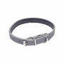 Voir la diapositive 2 : Paris Prix Collier pour Chien  Design Uni  30cm Gris