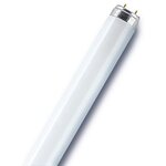 Osram Tube fluorescent droit T8 opaque 2400 Lm  30 W blanc, OSRAM