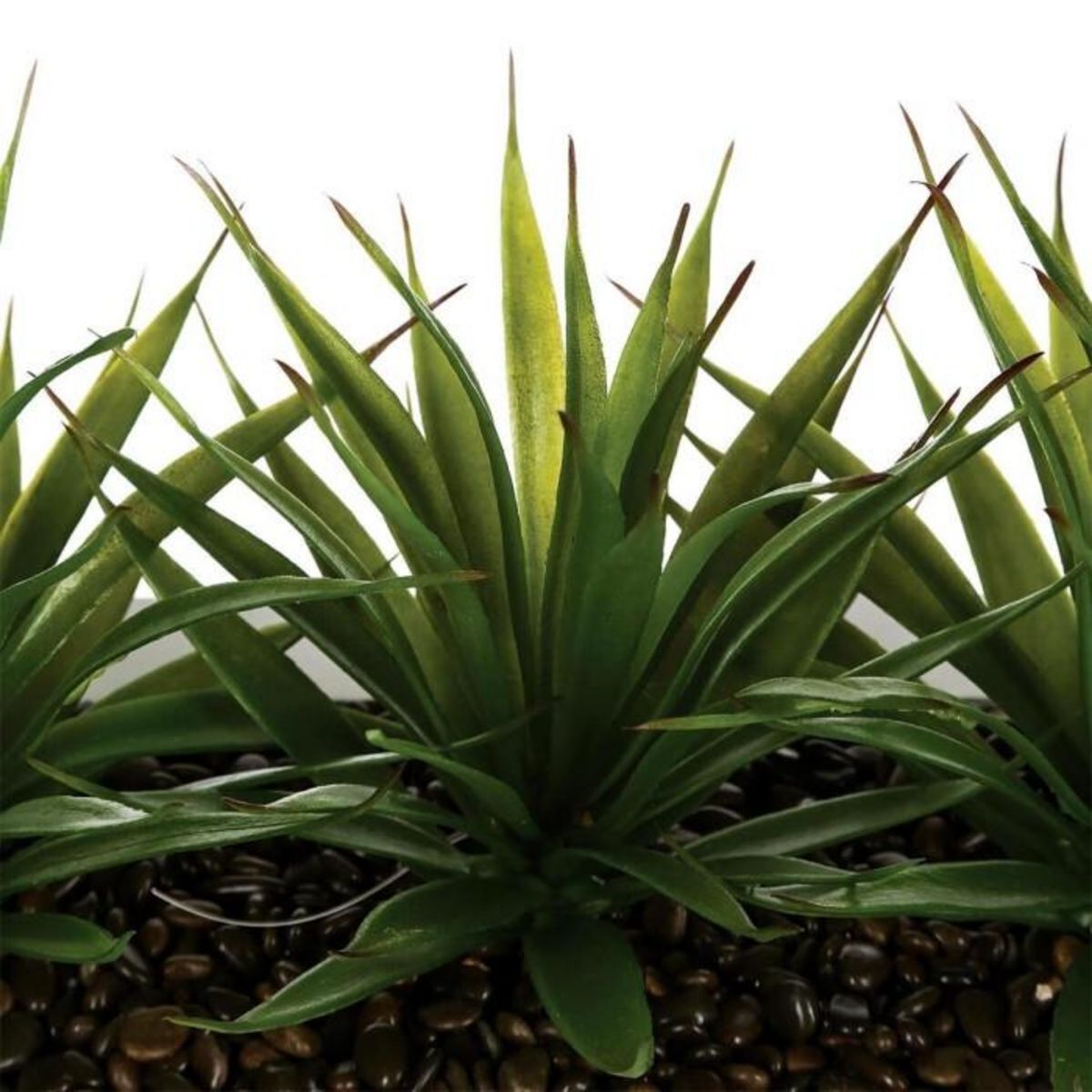 ATMOSPHERA Centre de Table Aloe Vera  Plant  31cm Blanc