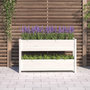 Voir la diapositive 3 : VIDAXL Jardiniere Blanc 112x25x66 cm Bois massif de pin
