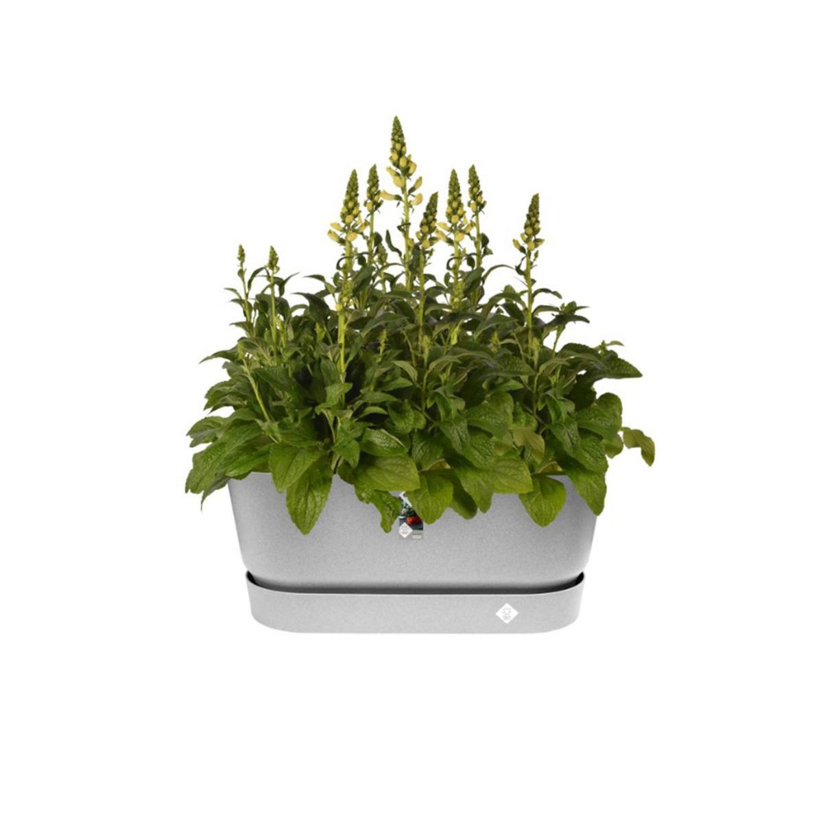 ELHO Jardinière Greenville Terrasse 60 x 26 x 24,4 cm avec roulettes - Gris béton - Elho