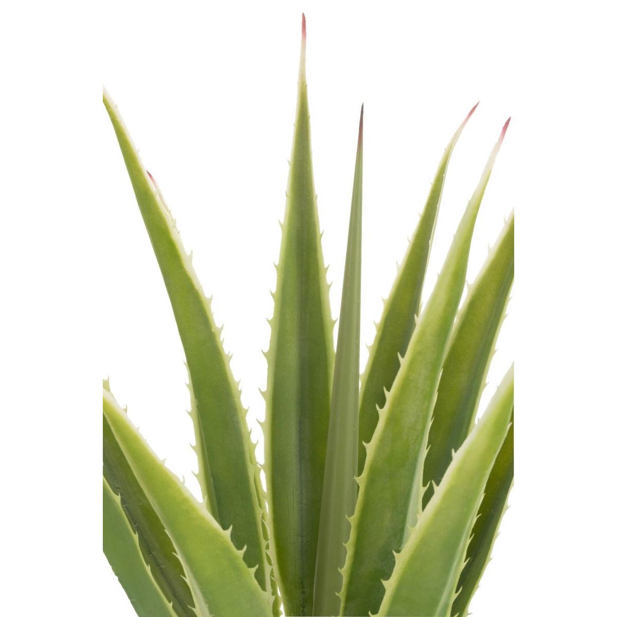 Voir la diapositive 2 : J-LINE Plante artificielle en pot  agave  115cm vert