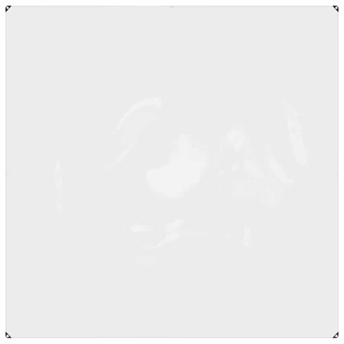 VIDAXL Bache transparente avec œillets 2x2 m PVC