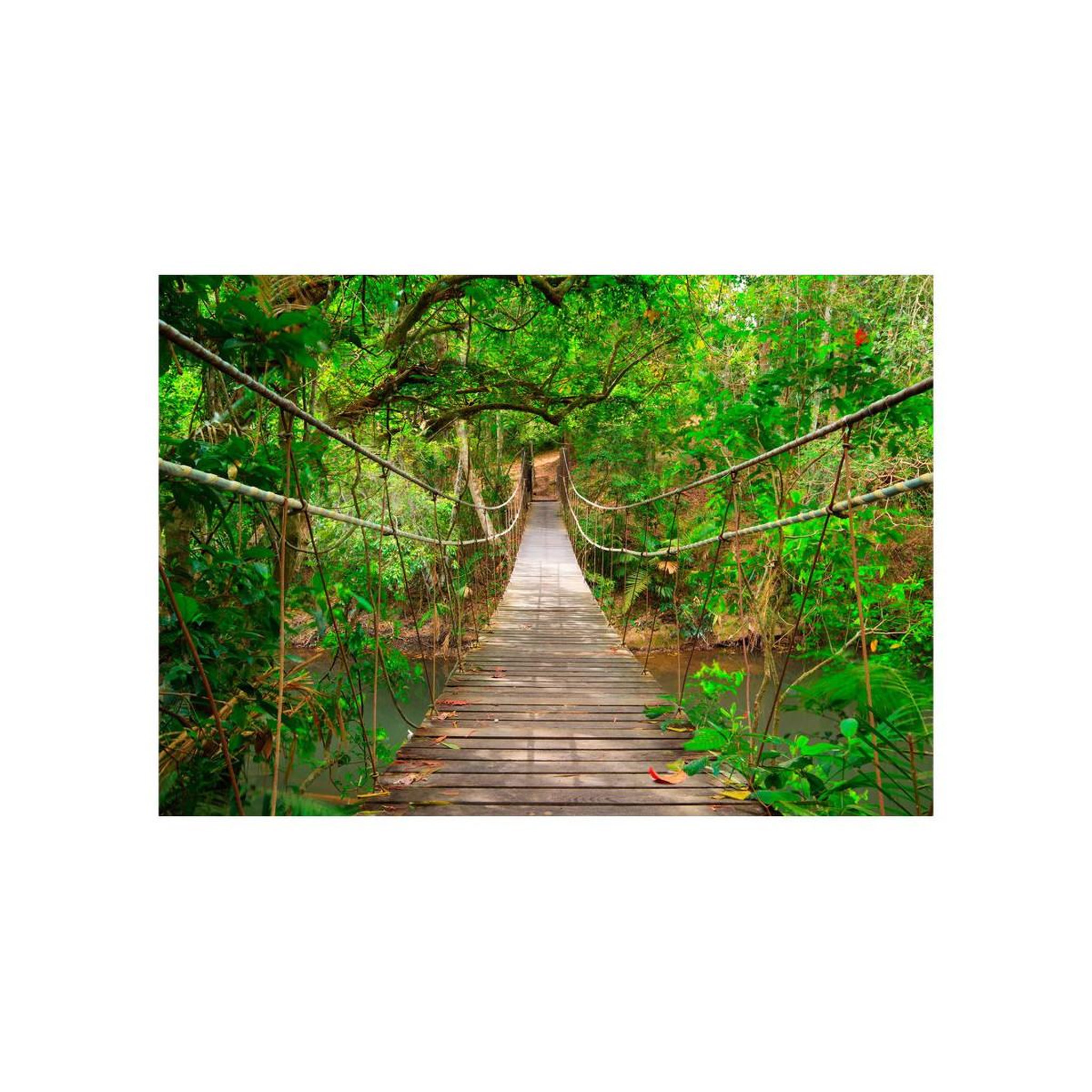Voir la diapositive 2 : Paris Prix Papier Peint  Bridge Amid Greenery