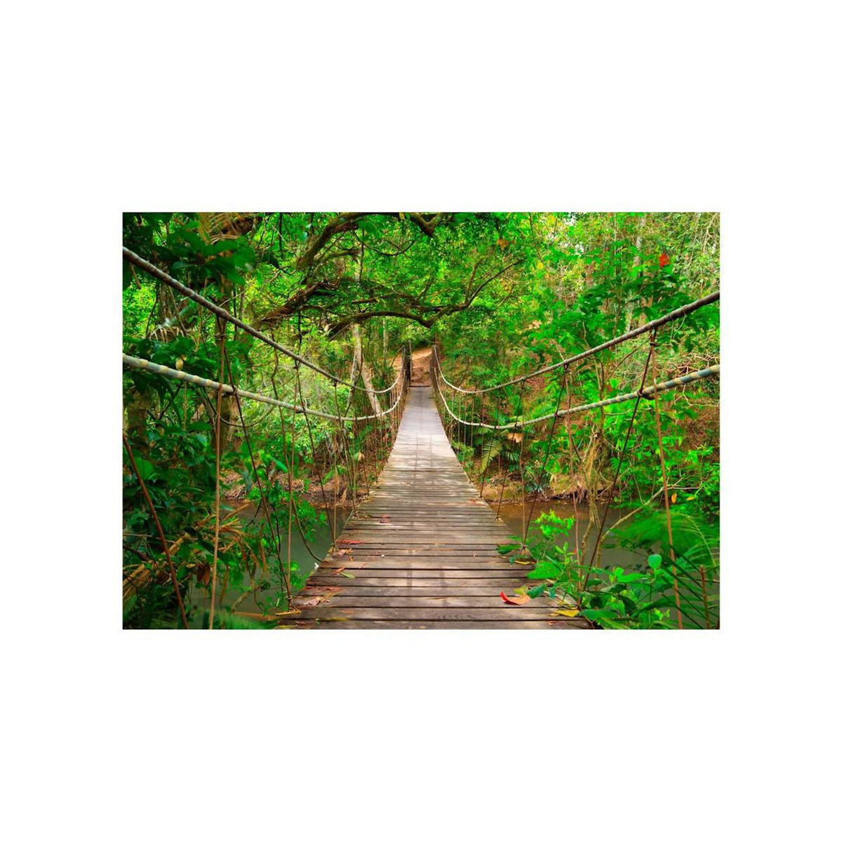 Paris Prix Papier Peint  Bridge Amid Greenery