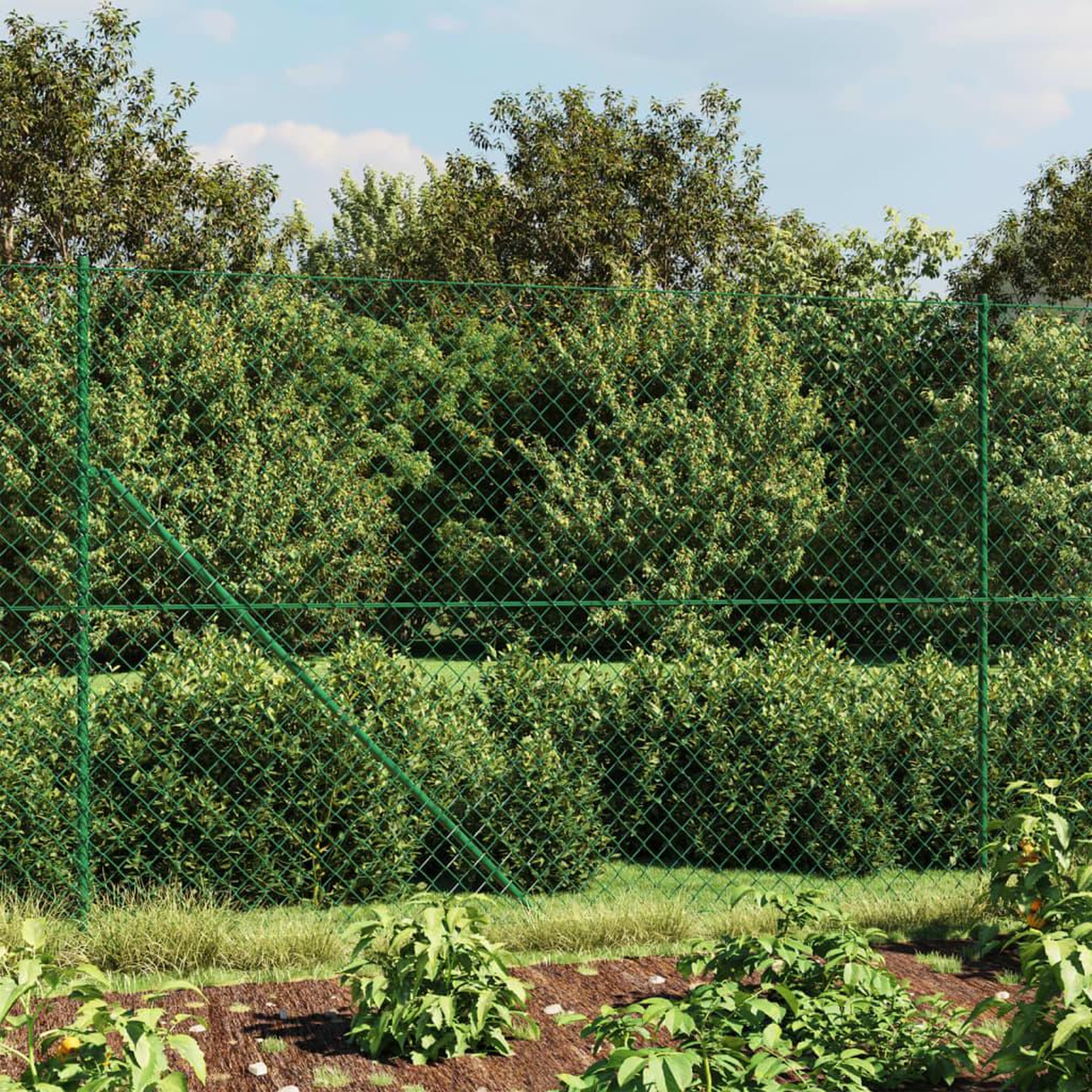 VIDAXL Cloture a mailles losangees avec bride vert 1,6x25 m