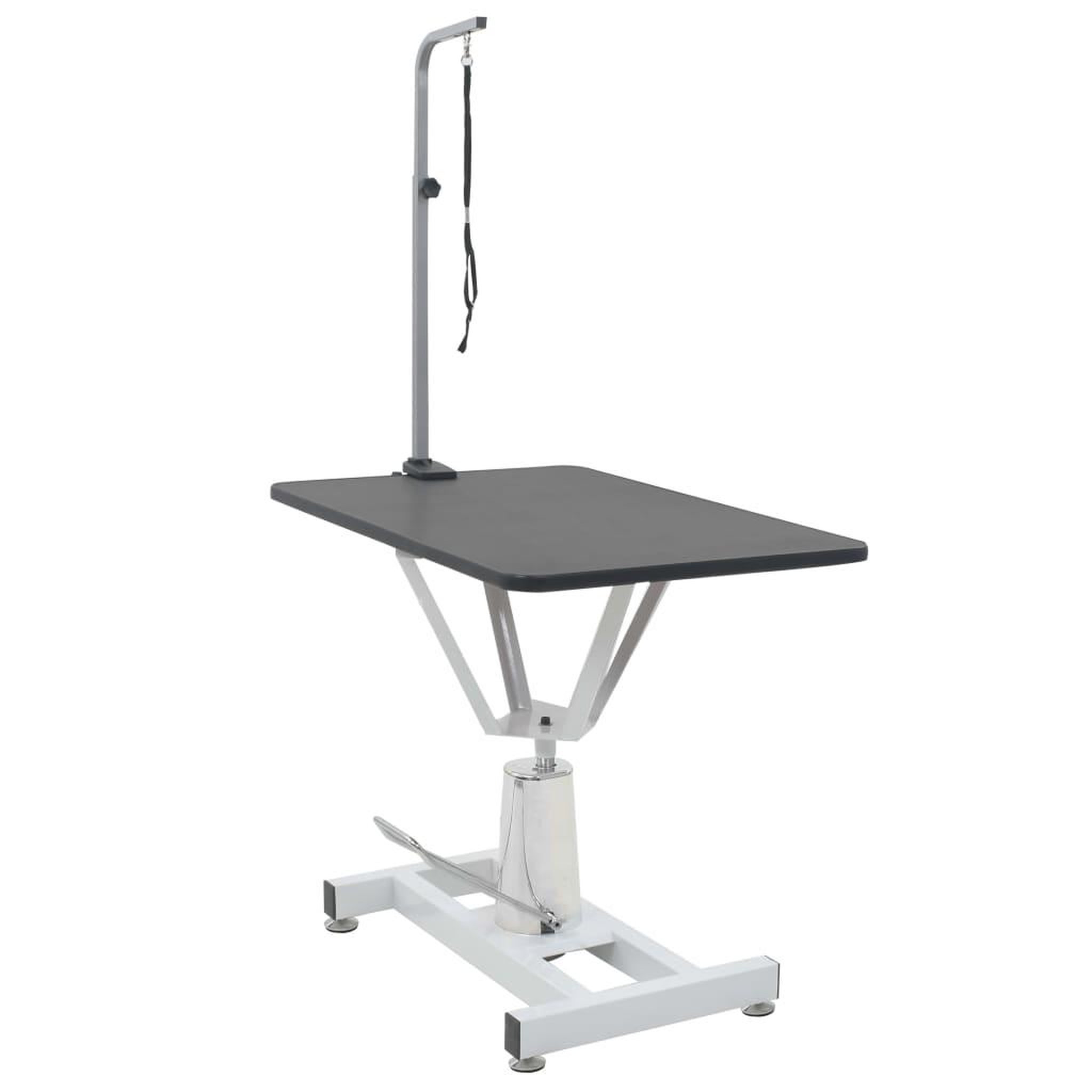 Voir la diapositive 1 : VIDAXL Table Toilettage Ajustable Hydraulique pour Chiens avec Pivot