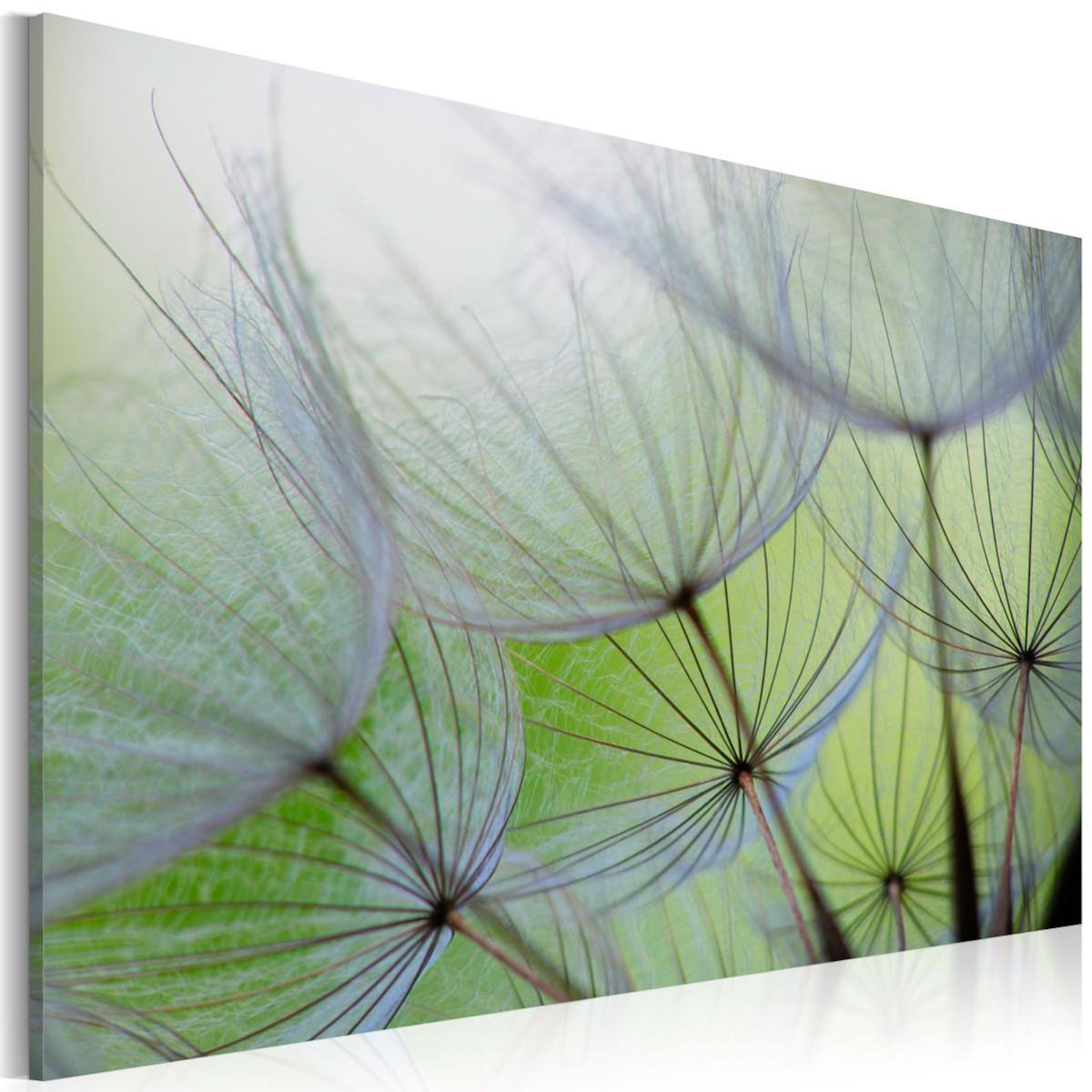 Paris Prix Tableau Imprimé  Dandelion in the Wind