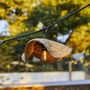 Voir la diapositive 4 : Lumisky Guirlande lumineuse MOLLY Beige Herbe marine 6m