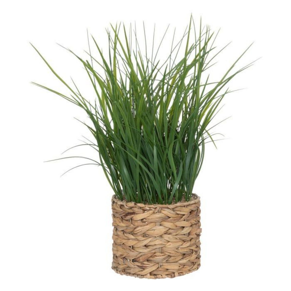 ATMOSPHERA Plante Artificielle en Pot  Herbe  70cm Beige