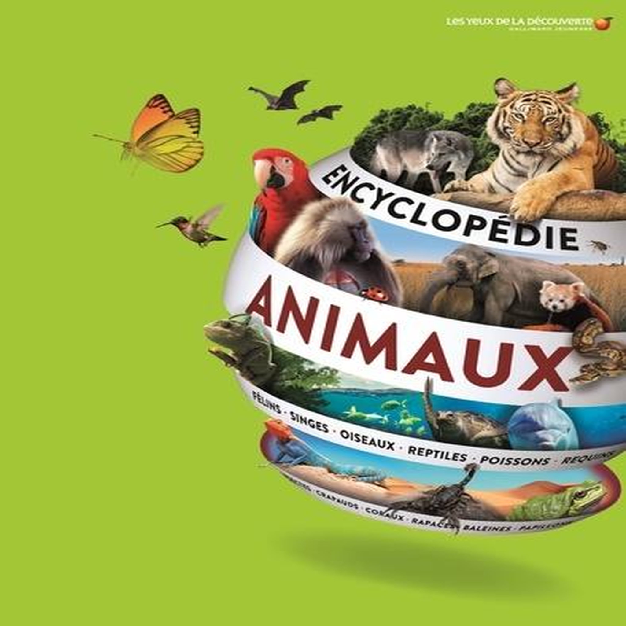 ENCYCLOPEDIE DES ANIMAUX, Collectifs Gallimard jeunesse