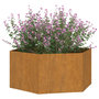 Voir la diapositive 3 : VIDAXL Jardiniere Rouille 90x90x45 cm Acier corten