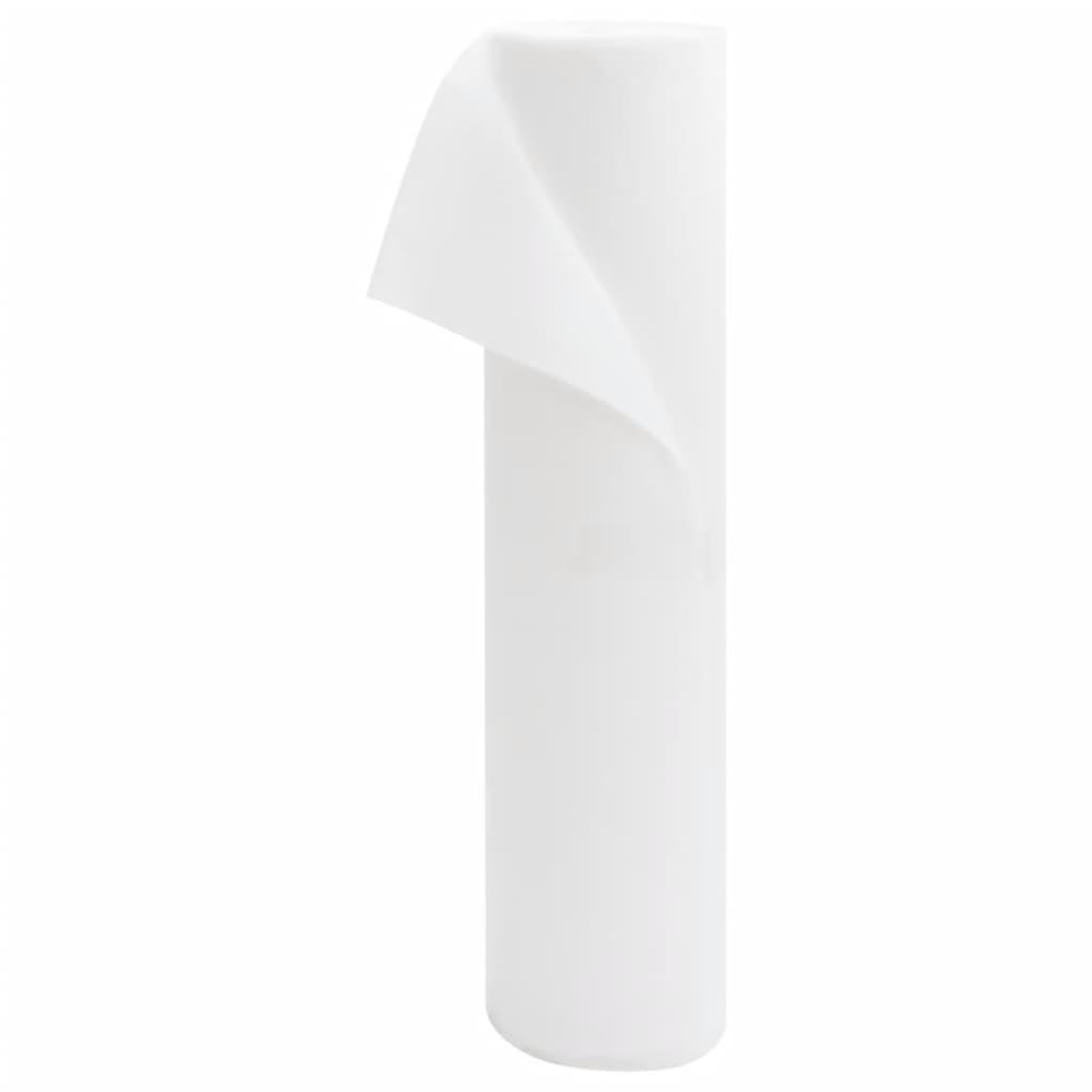 VIDAXL Toison vegetale 70 g/m² 50x1,6 m