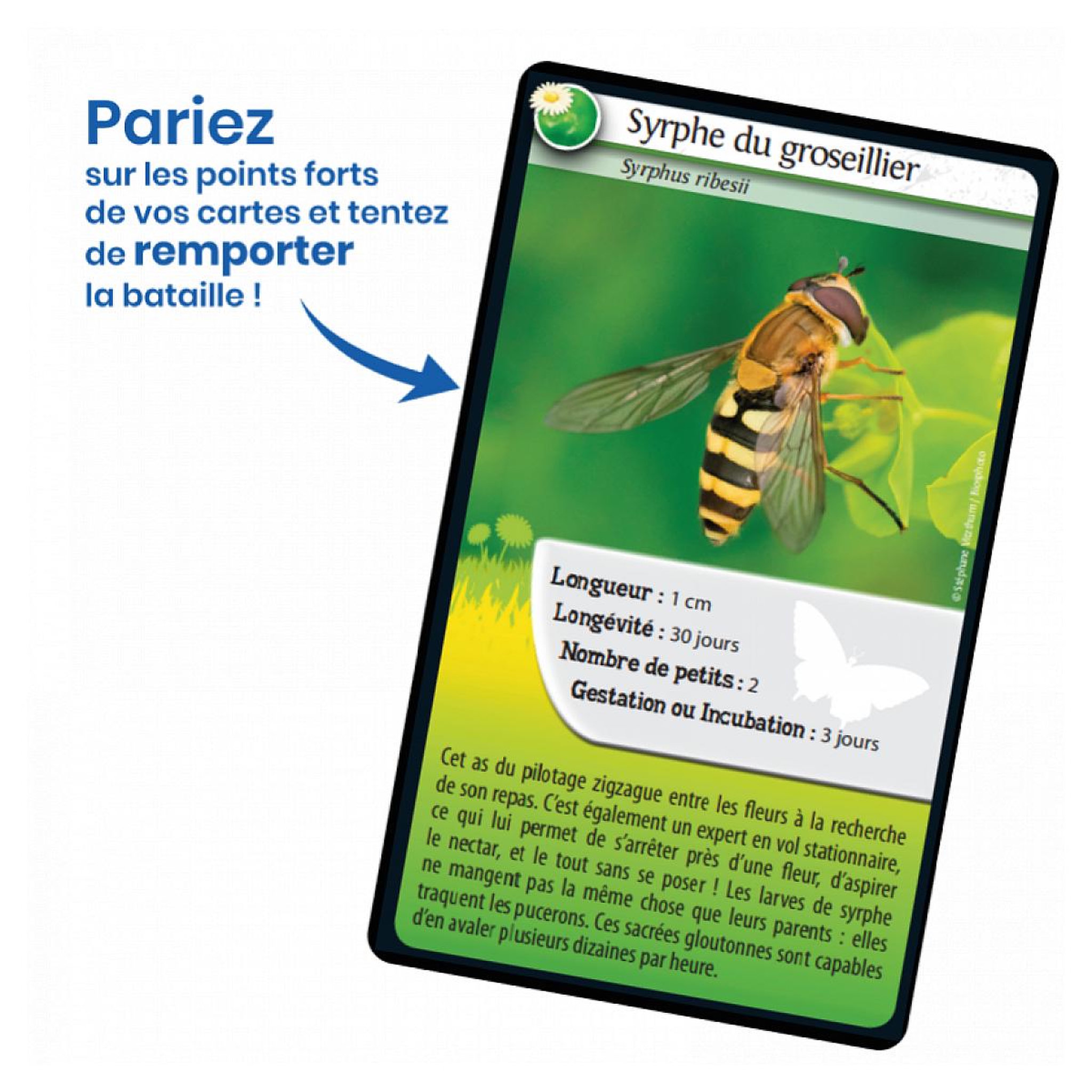 Voir la diapositive 3 : Bioviva Défis nature abeilles et autres pollinisateurs