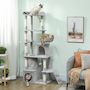 Voir la diapositive 2 : PAWHUT Arbre à chat design gris clair multi-activités - zones de repos, griffoirs - H.170 cm