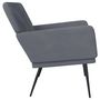 Voir la diapositive 4 : VIDAXL Banc Gris fonce 108x79x79 cm Velours