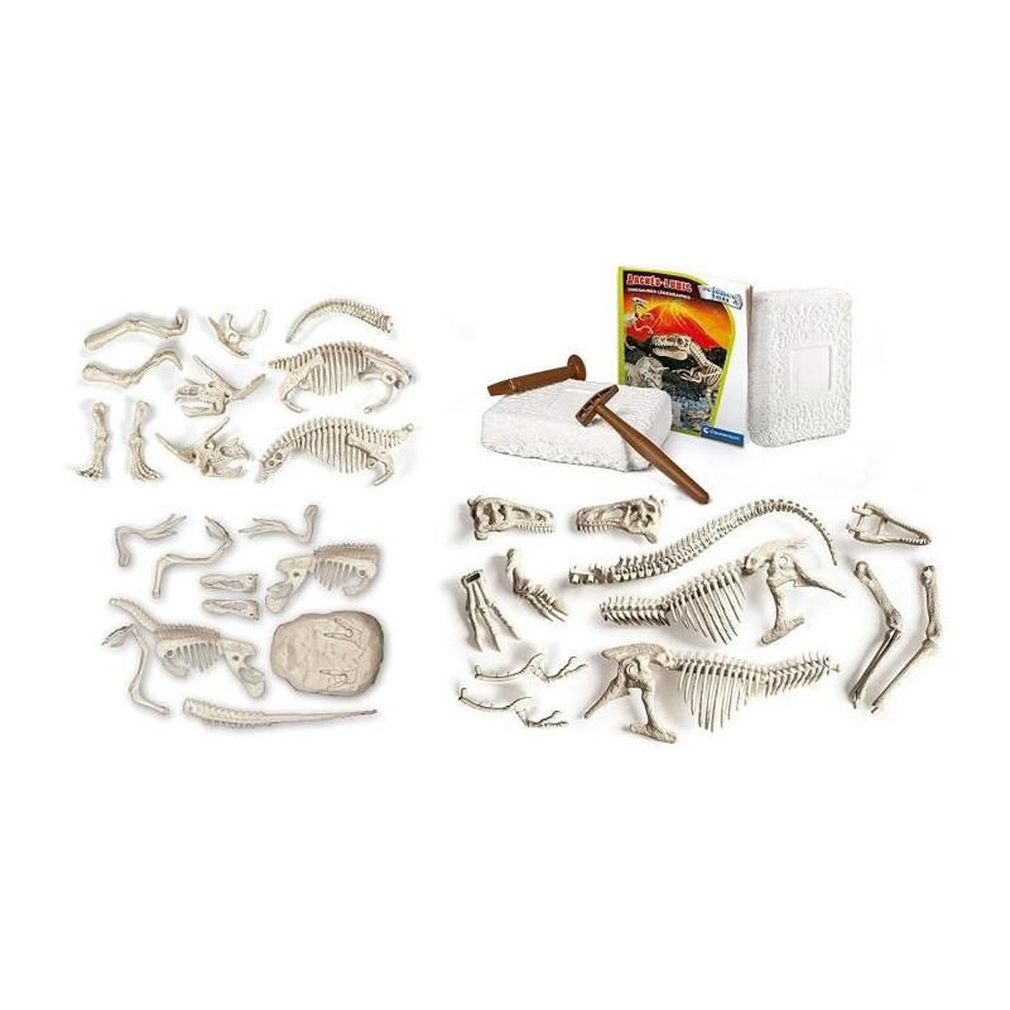 Voir la diapositive 4 : CLEMENTONI CLEMENTONI Archeo Ludic - Dinosaures legendaires - Science + Jeu