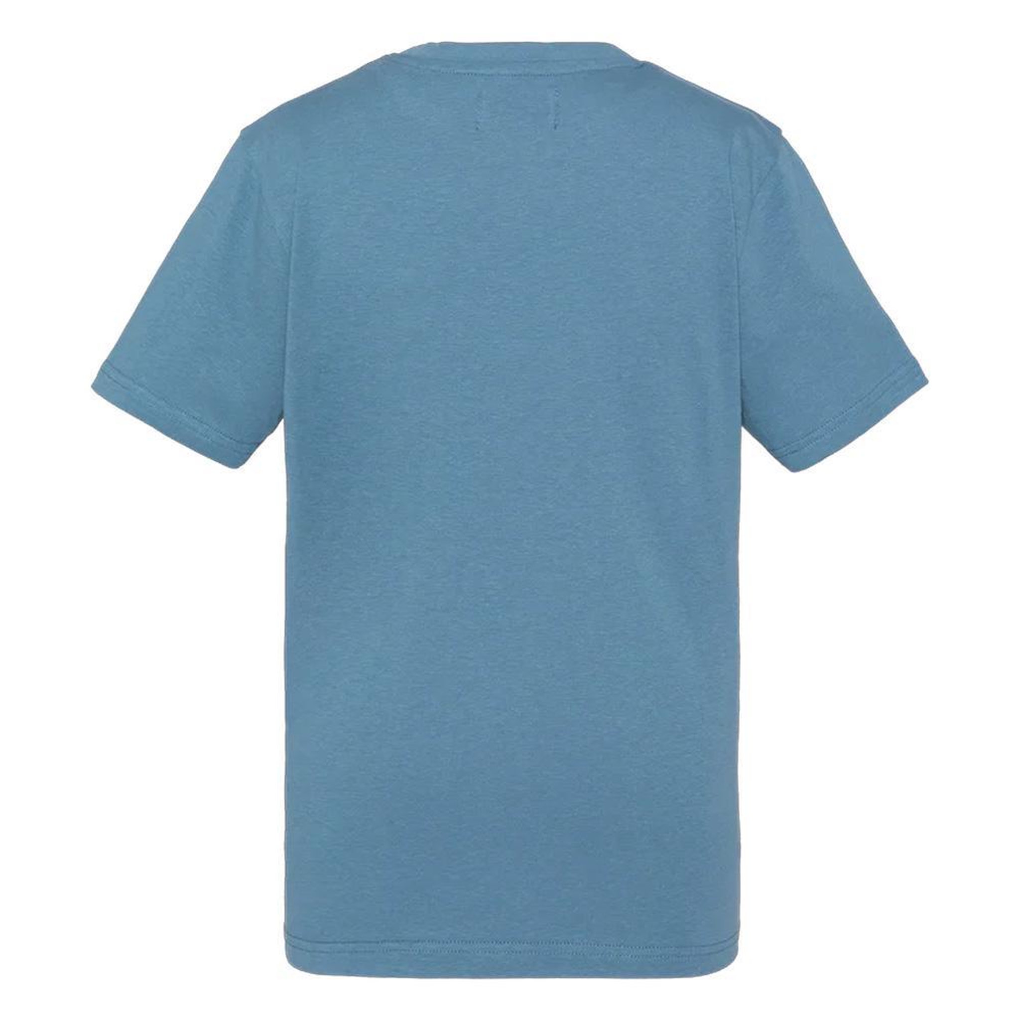 Voir la diapositive 2 : Schott T-Shirt Bleu Garçon Schott VINTAGE