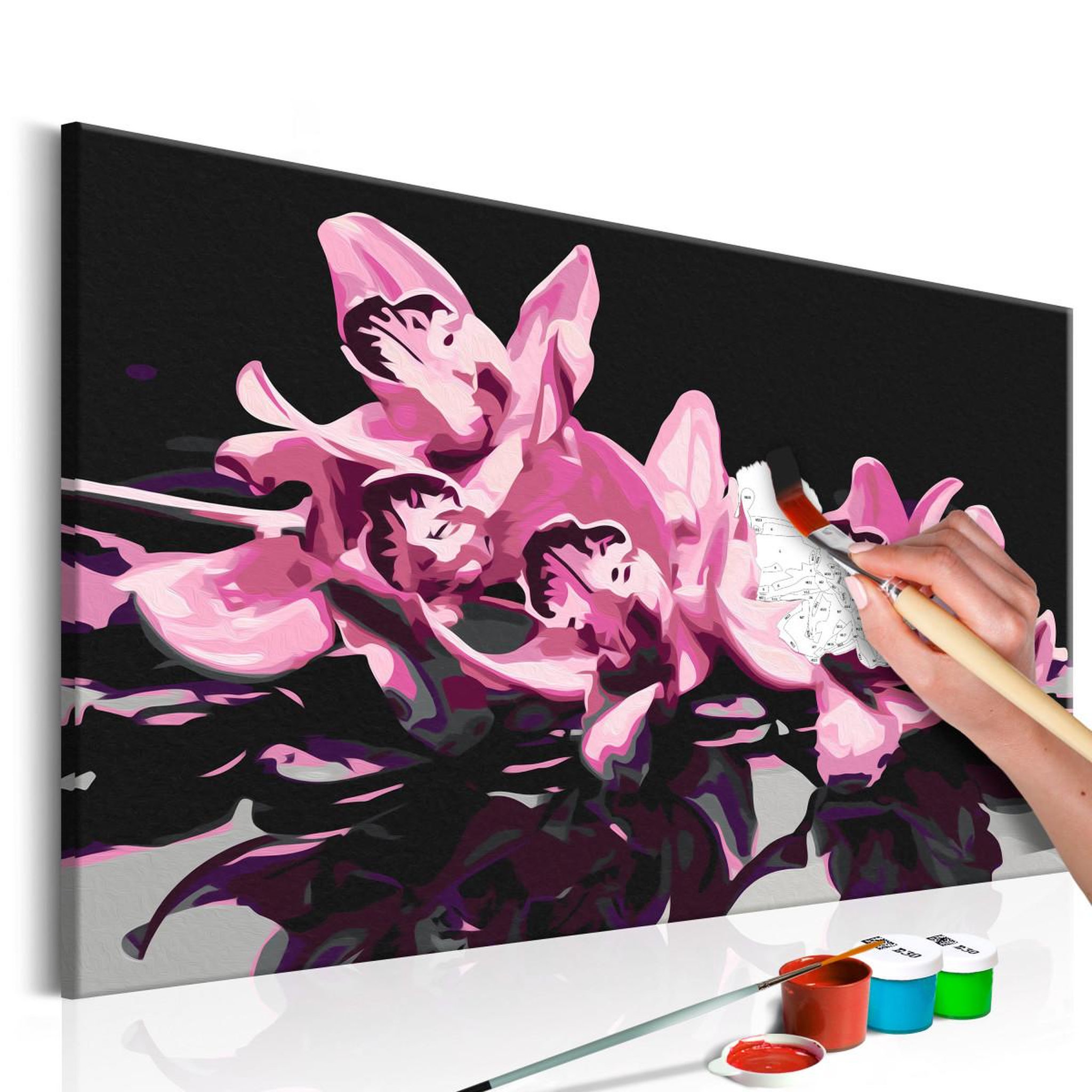 Voir la diapositive 1 : Paris Prix Tableau à Peindre Soi-Même  Orchidée Rose Fond Noir  40x60cm