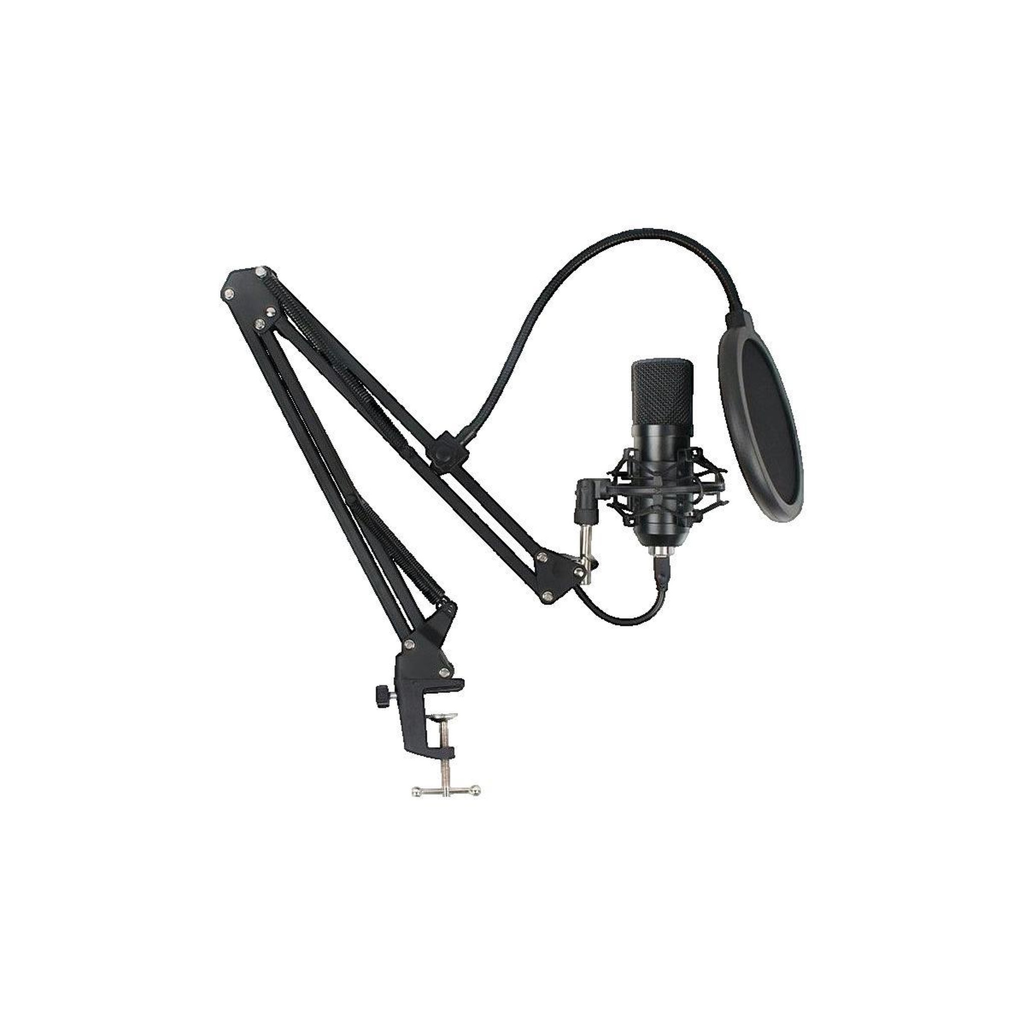 ARTDESIGN Microphone art à condensateur monté sur bras ajustable