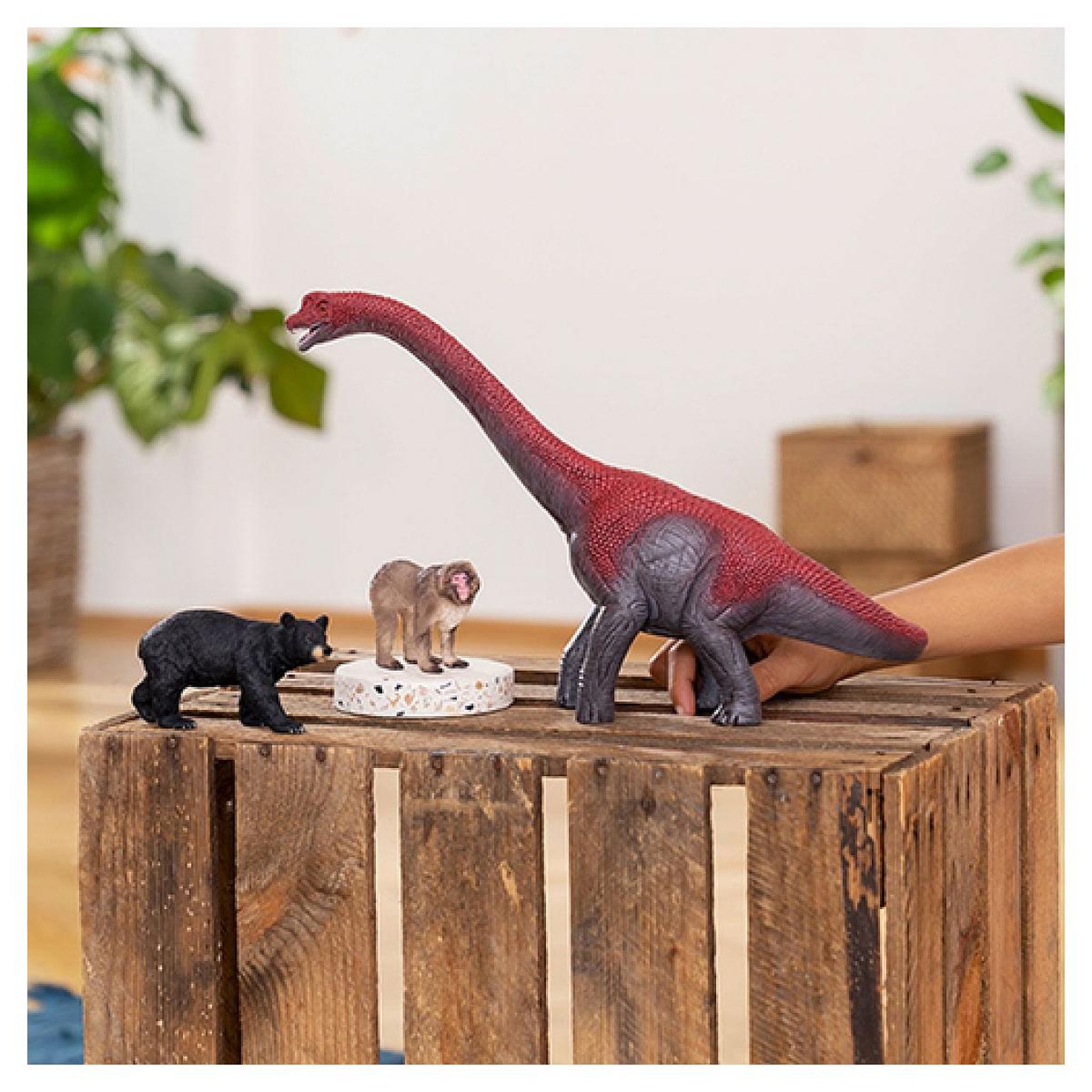 Voir la diapositive 2 : Schleich 14871 Figurine Macaque japonais -