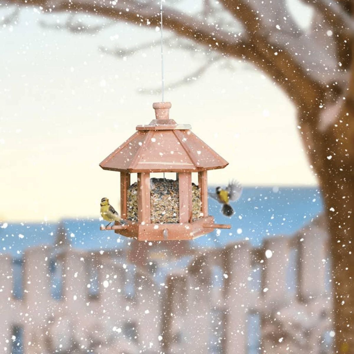 HI HI Mangeoire a oiseaux suspendue Marron