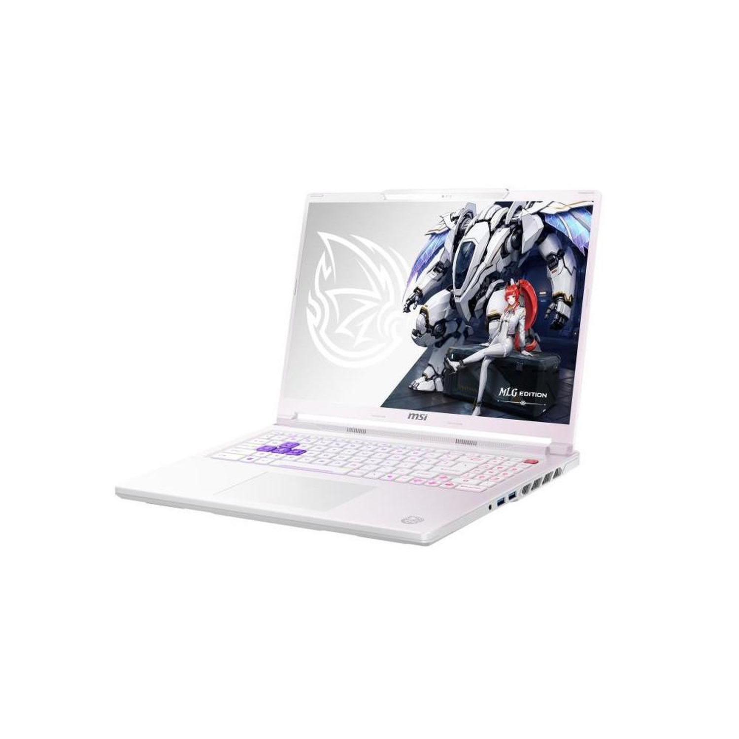 Ordinateur portable gaming 16  Quad HD+ 240 Hz, Ryzen 7 8840HX, 32 Go RAM, SSD 1 To, RTX 5060 8 Go, Wi-Fi 6E