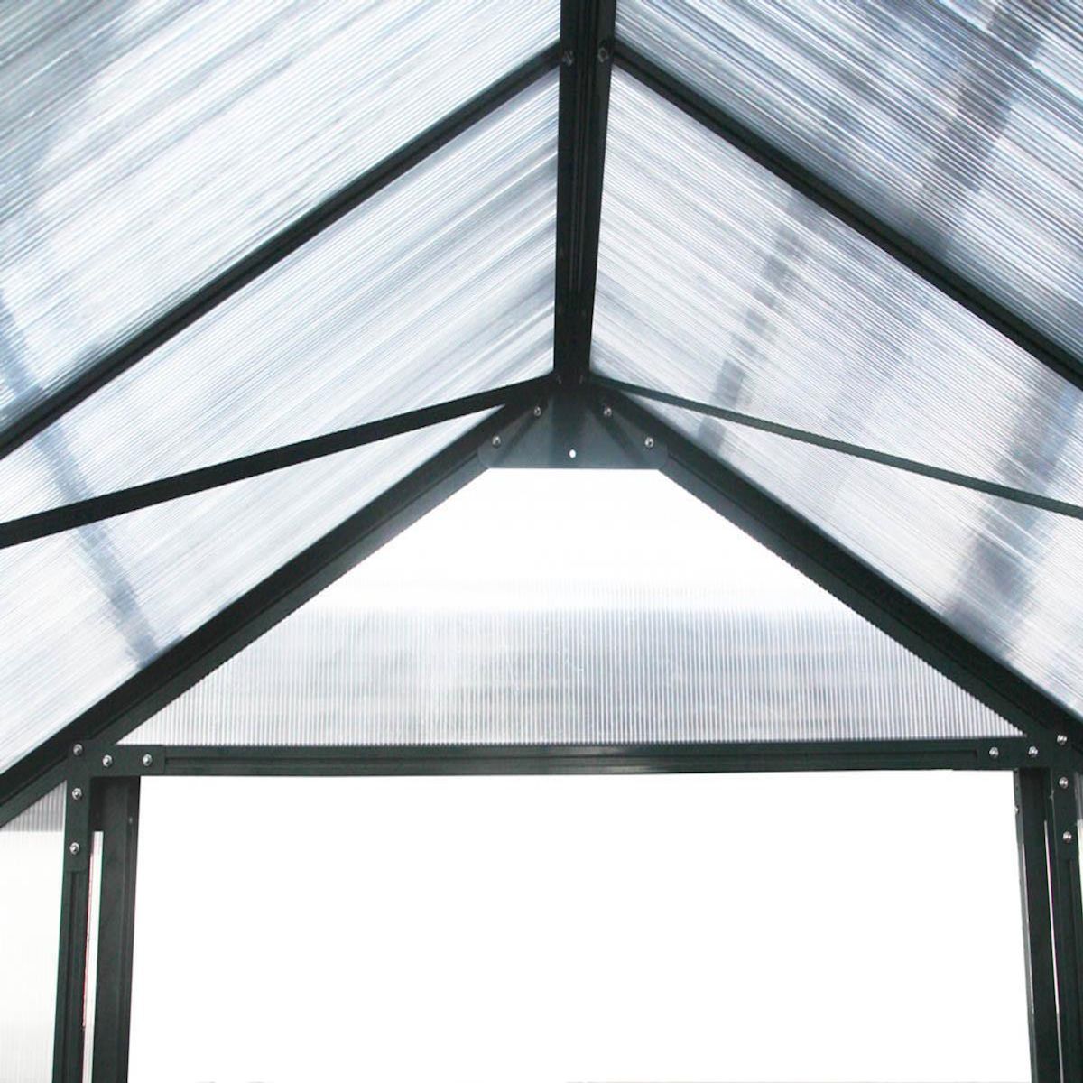 Habitat et Jardin Serre jardin polycarbonate  Dahlia  Vert Sapin 13,29 m²