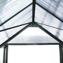 Voir la diapositive 4 : Habitat et Jardin Serre jardin polycarbonate  Dahlia  Vert Sapin 13,29 m²