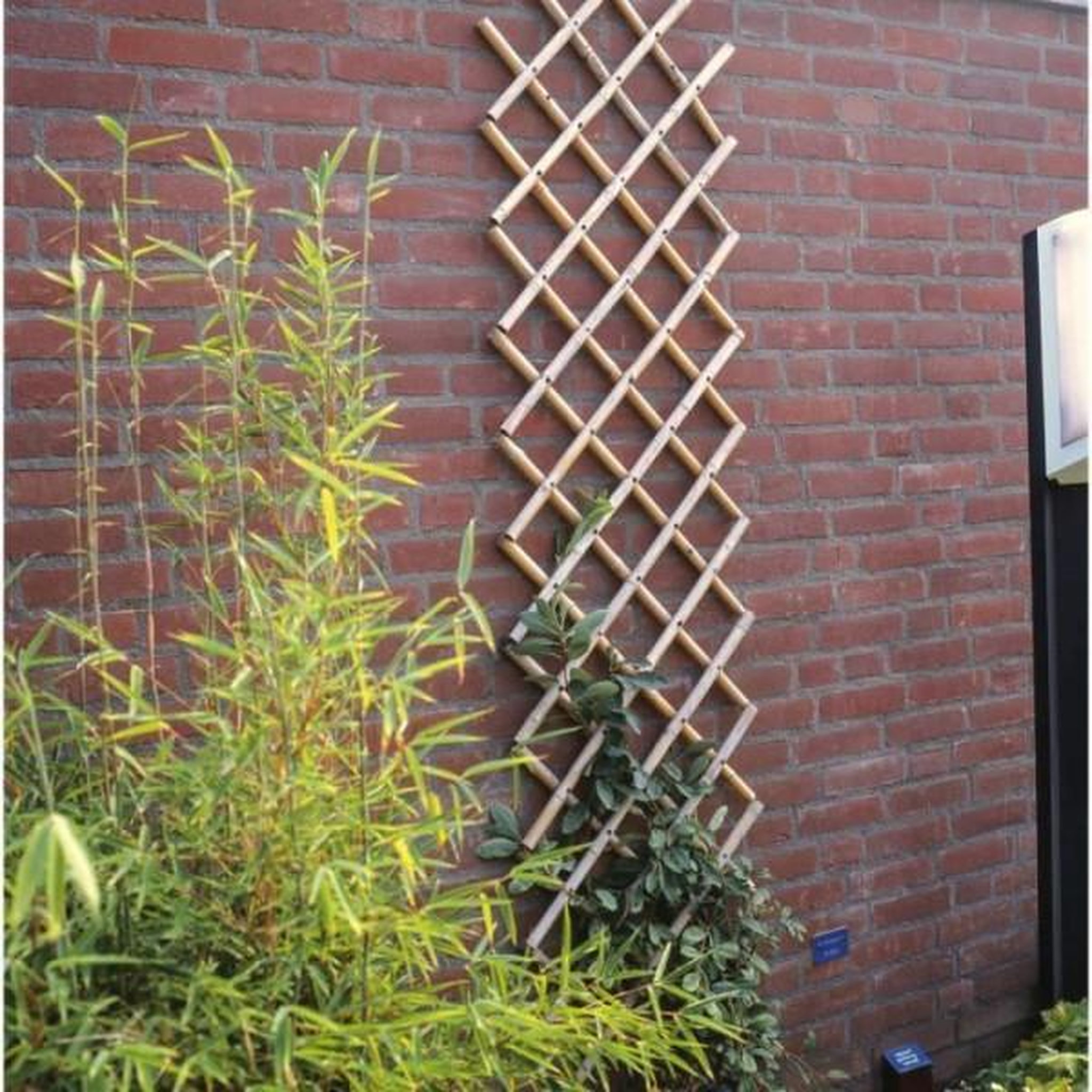 Voir la diapositive 4 : NATURE Treillis extensible - NATURE - En bambou - 45 x 180 cm