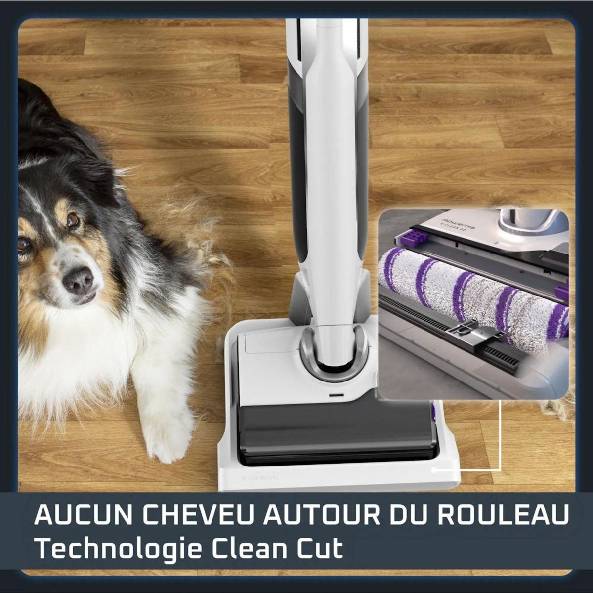 ROWENTA Aspirateur laveur GZ7257E0 X-Clean 12 + filtre