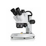 Voir la diapositive 1 : Bresser Microscope stéréo trino  Analyth STR 10x-40x