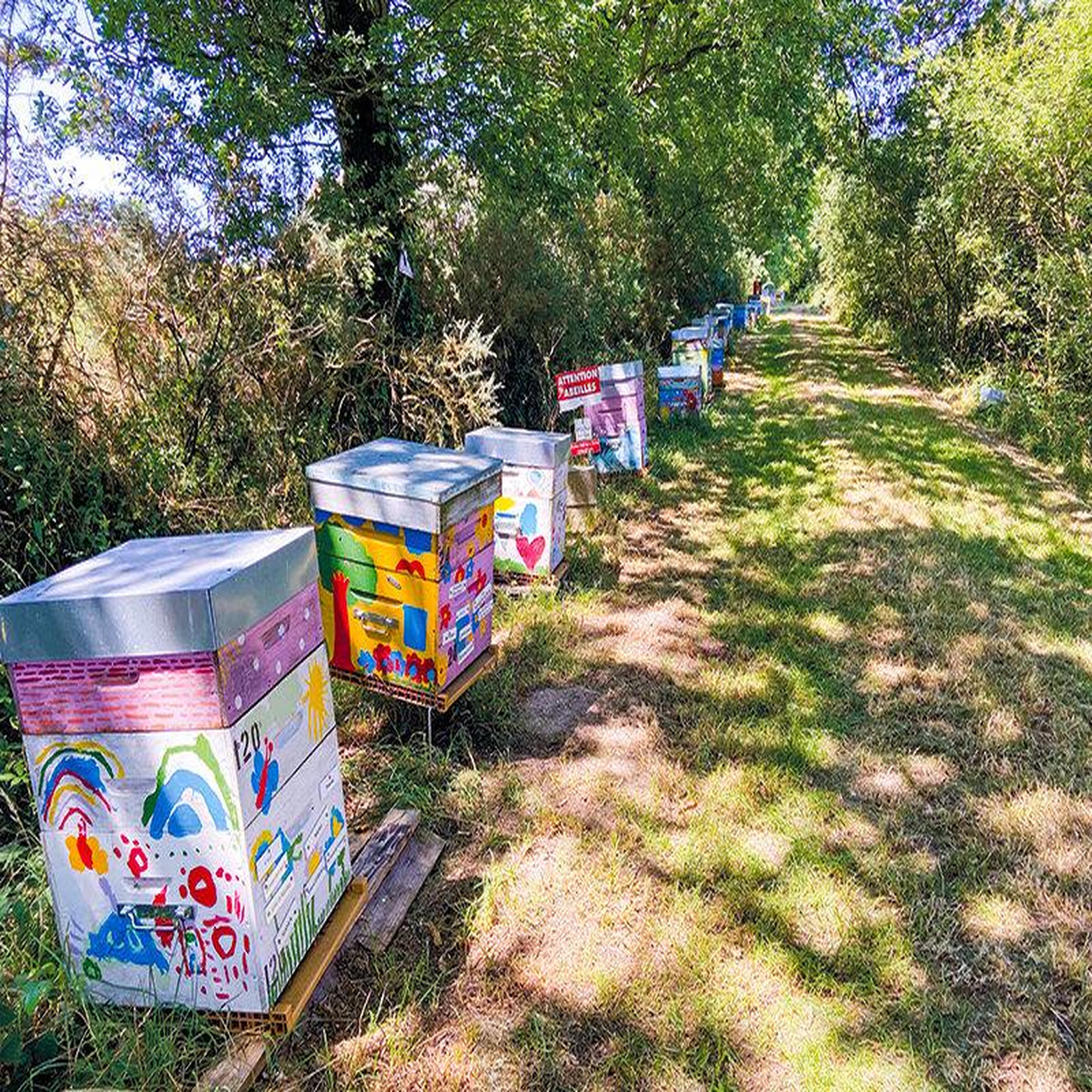 Voir la diapositive 2 : Smartbox Parrainage d'une ruche pour préserver la biodiversité et réaliser un acte citoyen et écologique - coffret cadeau gastronomie