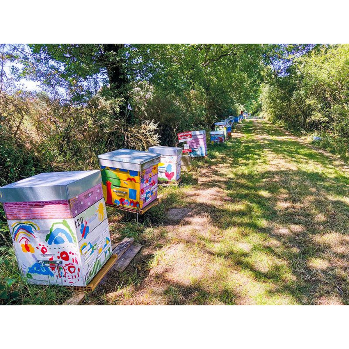 Smartbox Parrainage d'une ruche pour préserver la biodiversité et réaliser un acte citoyen et écologique - Coffret Cadeau Gastronomie