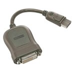 Lenovo Adaptateur Lenovo 45J7915 DVI-D vers DisplayPort noir