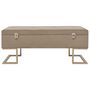 Voir la diapositive 3 : VIDAXL Banc avec compartiment de rangement 105 cm Beige Velours